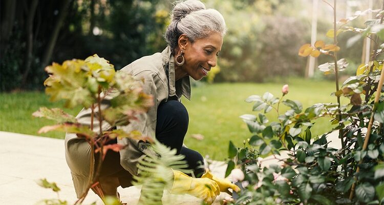 4 Skills to Build on To Keep The Mind Active During Retirement