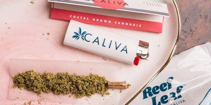 A Buyers Guide to Cannabis Products