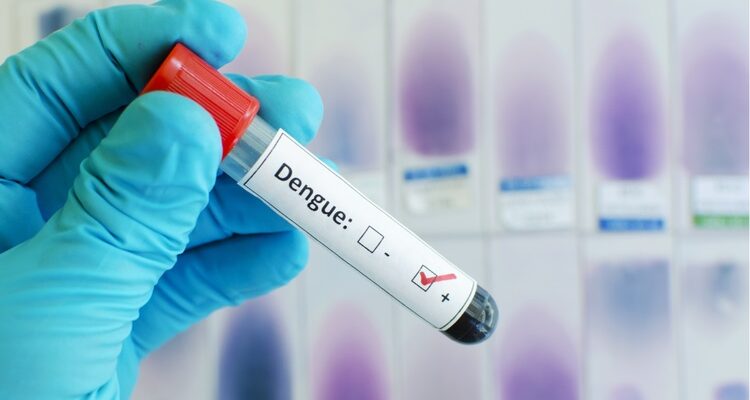 Dengue Coverage in Health Insurance Explained