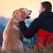 Pets Improve our Mental Health