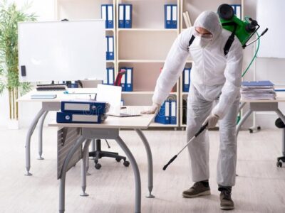 Use Pest Control Services At An Office
