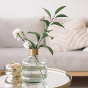 choose a vase for the interior
